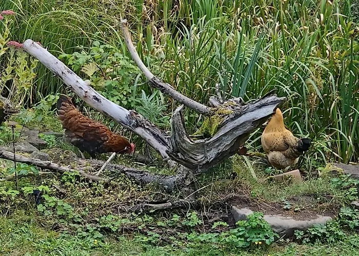 Romantic Barn With Sauna Σπίτι διακοπών Antweiler