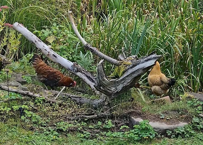 Romantic Barn With Sauna Σπίτι διακοπών